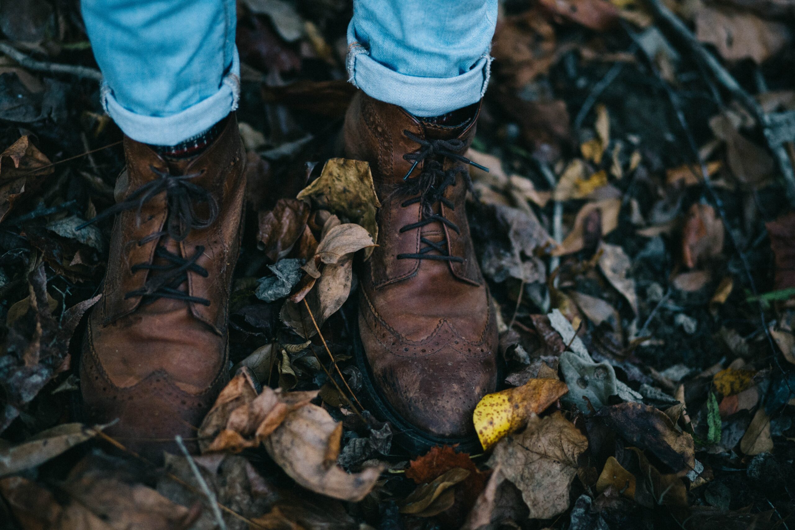 Winterizing Your Garden: Easy Ways to Protect Your Plants During the Cold Season