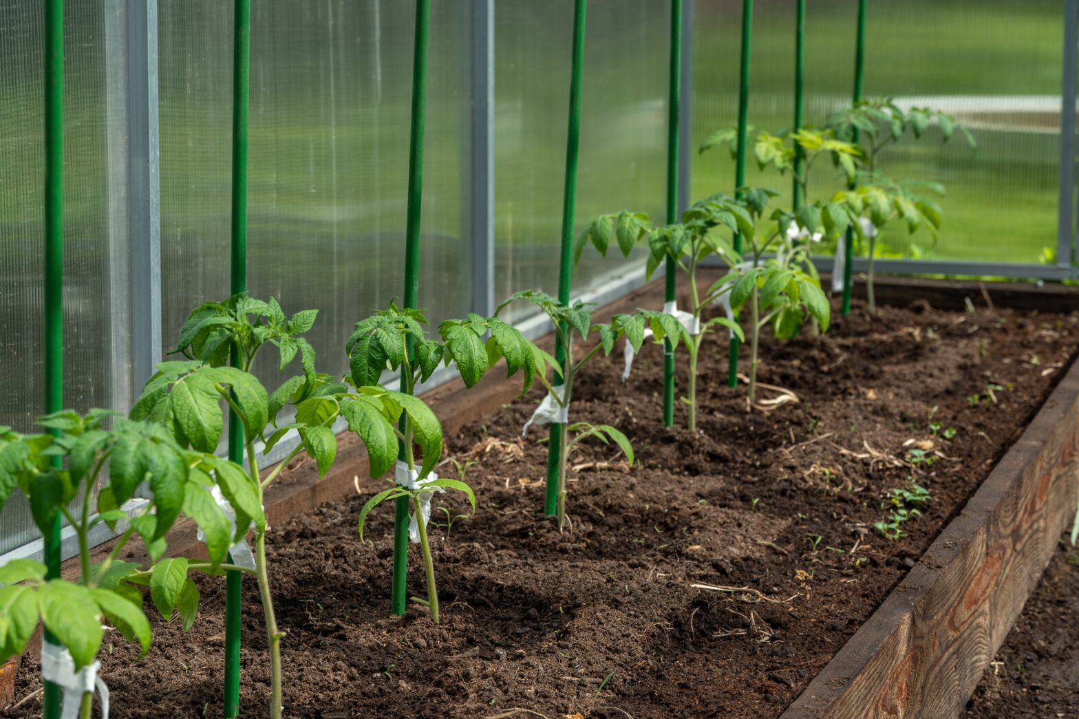 creating compost